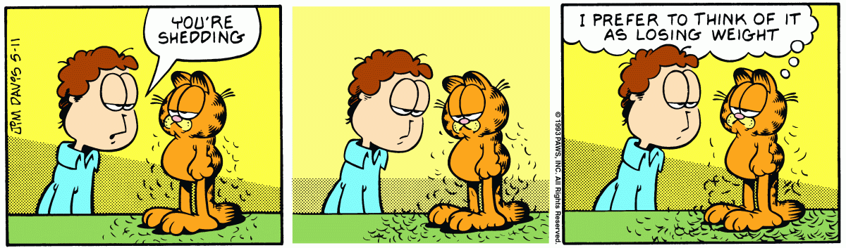 Garfield, May 11, 1993