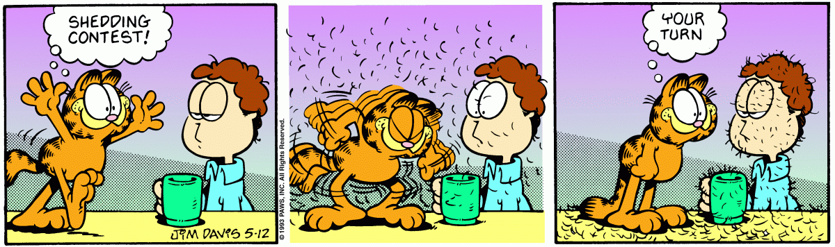 Garfield, May 12, 1993