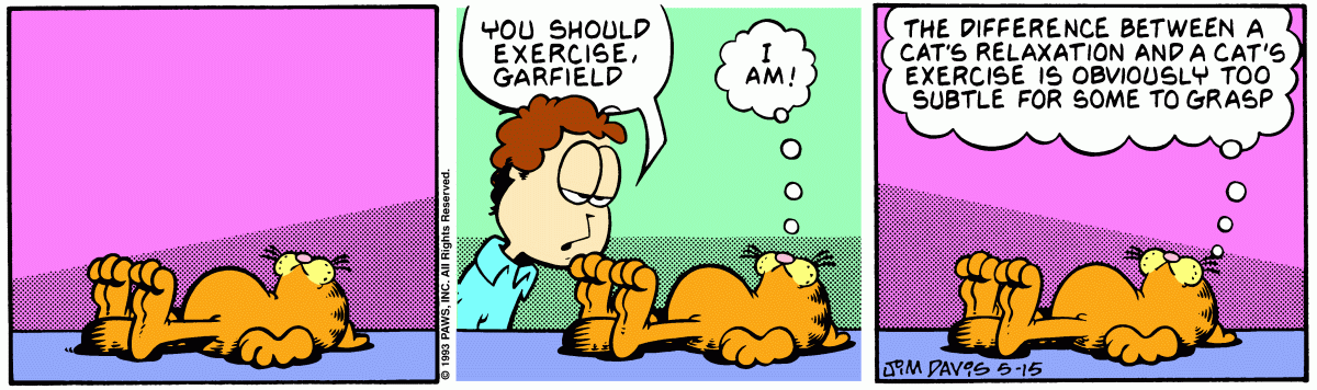 Garfield comic strip for Saturday, May 15, 1993