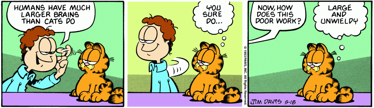Garfield comic strip for Tuesday, May 18, 1993