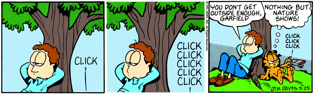 Garfield comic strip for Tuesday, May 25, 1993