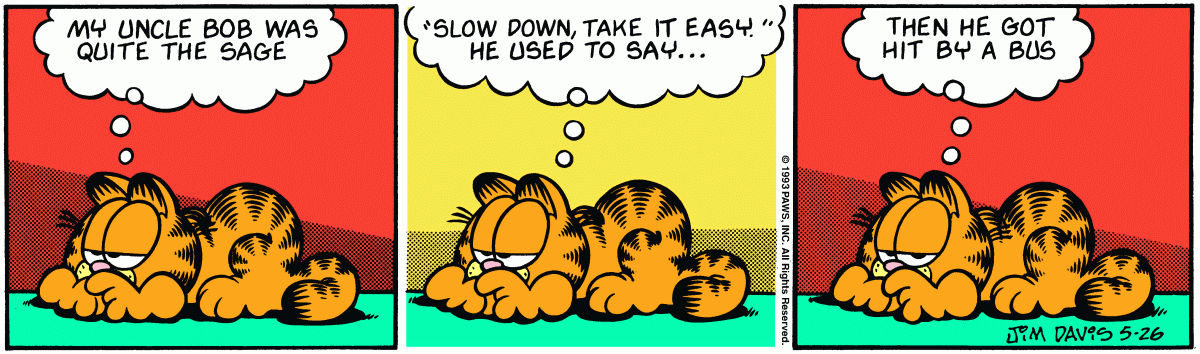 Garfield, May 26, 1993
