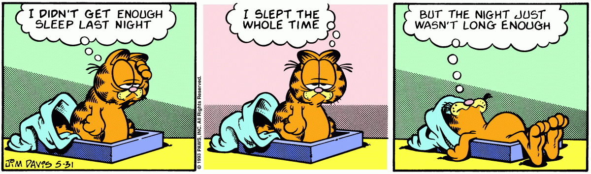 Garfield comic strip for Monday, May 31, 1993