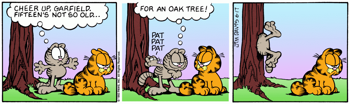 Garfield, June 17, 1993