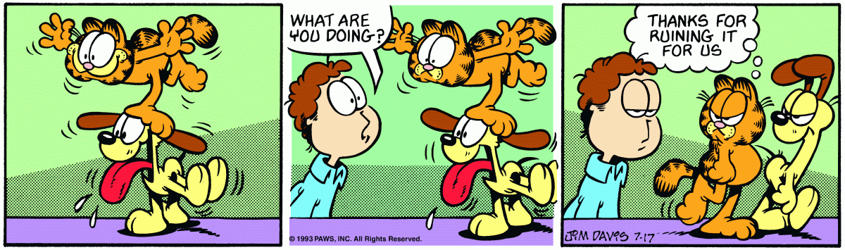 Garfield comic strip for Saturday, July 17, 1993