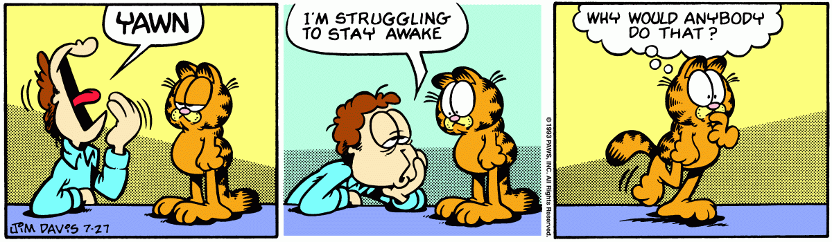 Garfield, July 27, 1993