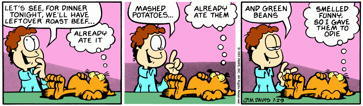 Garfield, July 29, 1993