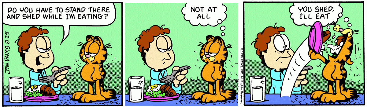 Garfield, August 25, 1993