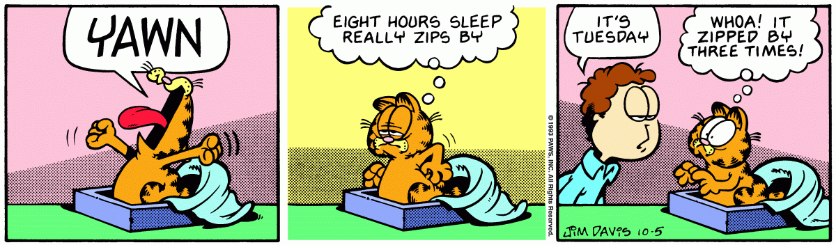 Garfield comic strip for Tuesday, October 5, 1993