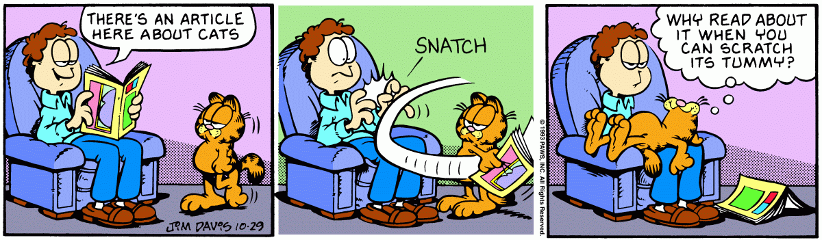 Garfield, October 29, 1993