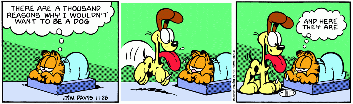 Garfield comic strip for Friday, November 26, 1993