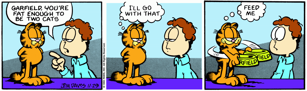 Garfield comic strip for Monday, November 29, 1993