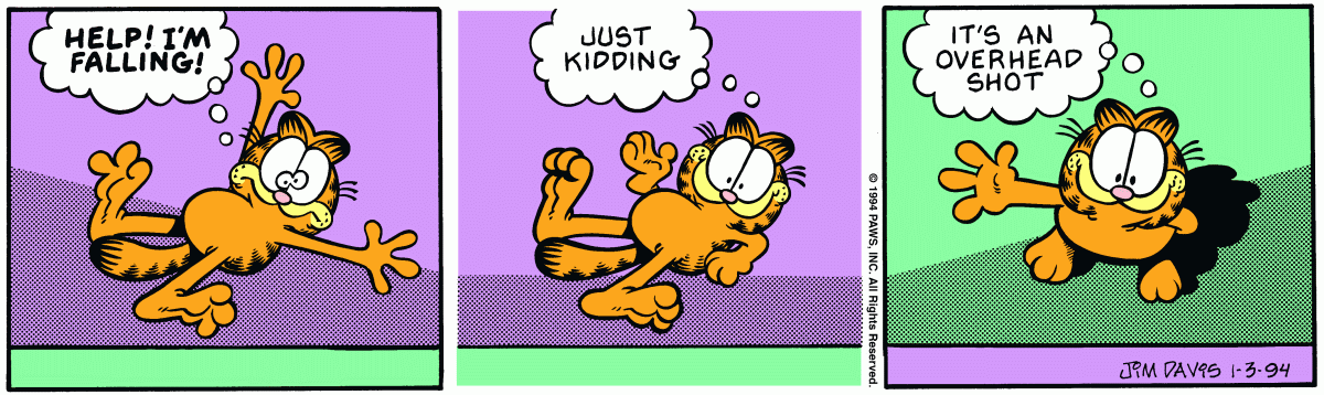 Garfield, January 3, 1994