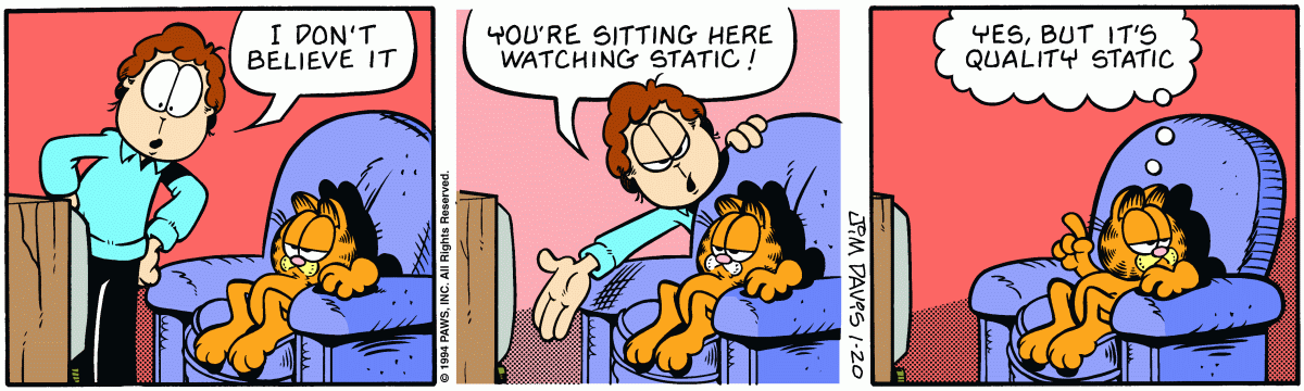 Garfield, January 20, 1994