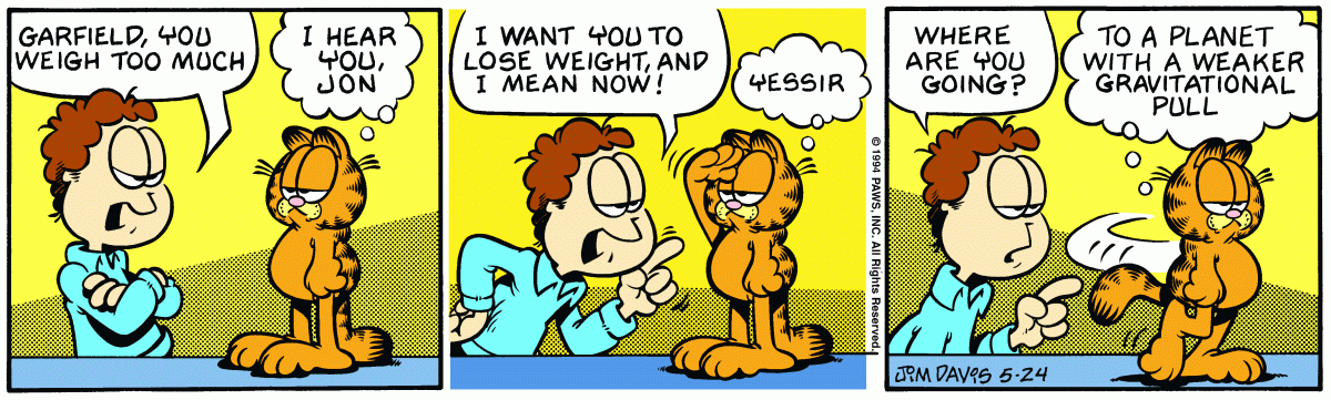 Garfield comic strip for Tuesday, May 24, 1994