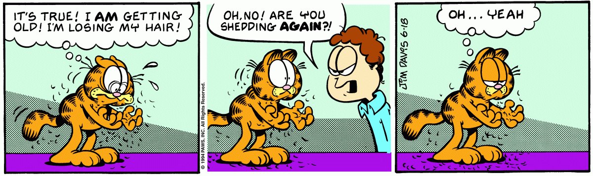 Garfield, June 18, 1994