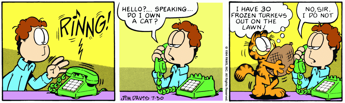 Garfield, July 30, 1994