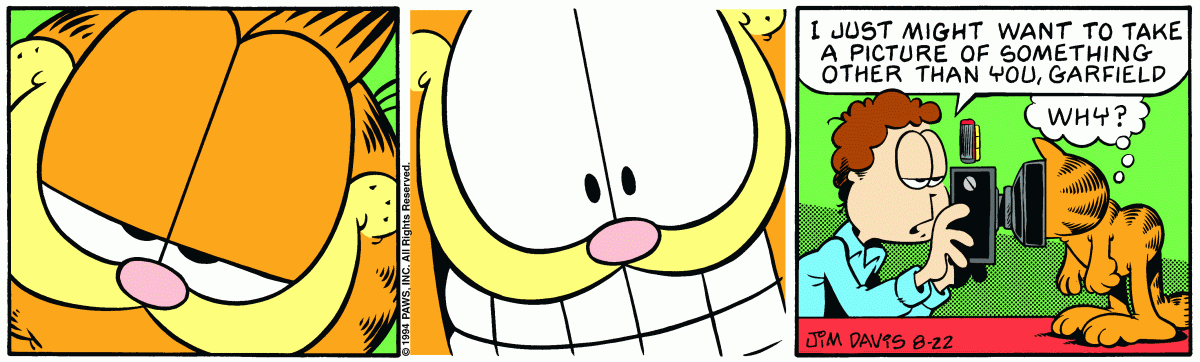 Garfield, August 22, 1994