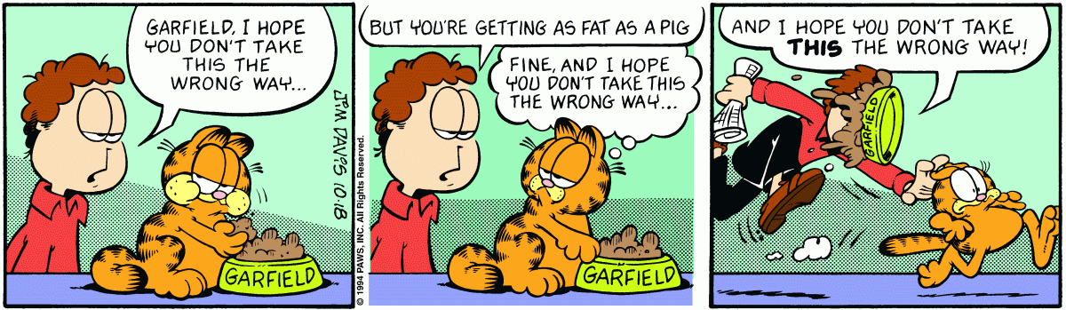 Garfield comic strip for Tuesday, October 18, 1994
