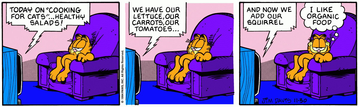 Garfield, November 30, 1994