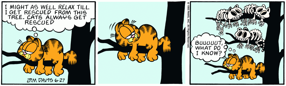 Garfield, June 27, 1995