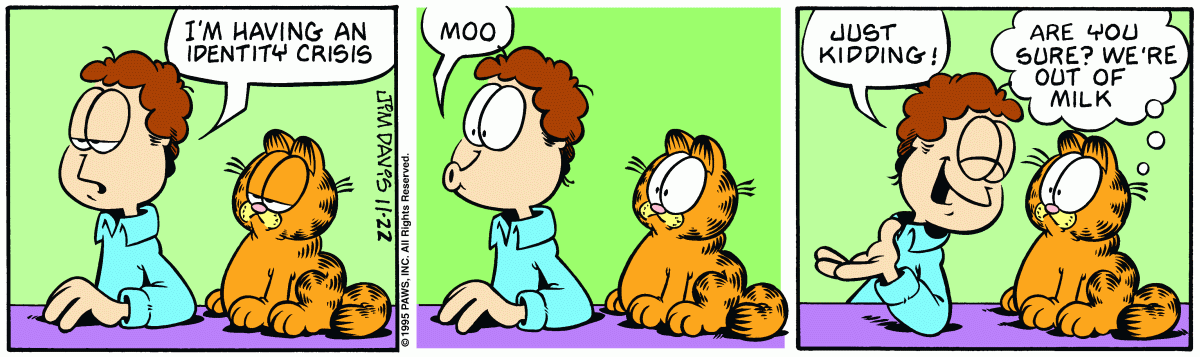 Garfield, November 22, 1995