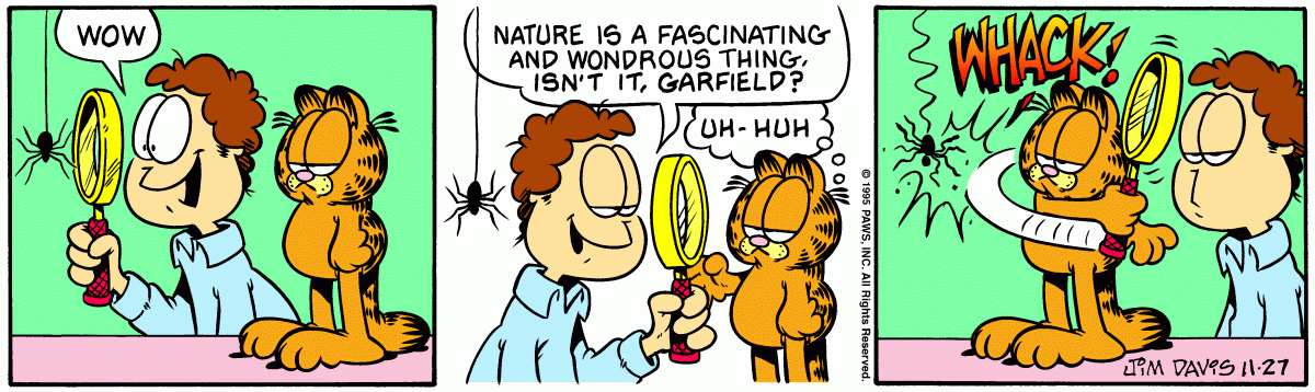 Garfield, November 27, 1995