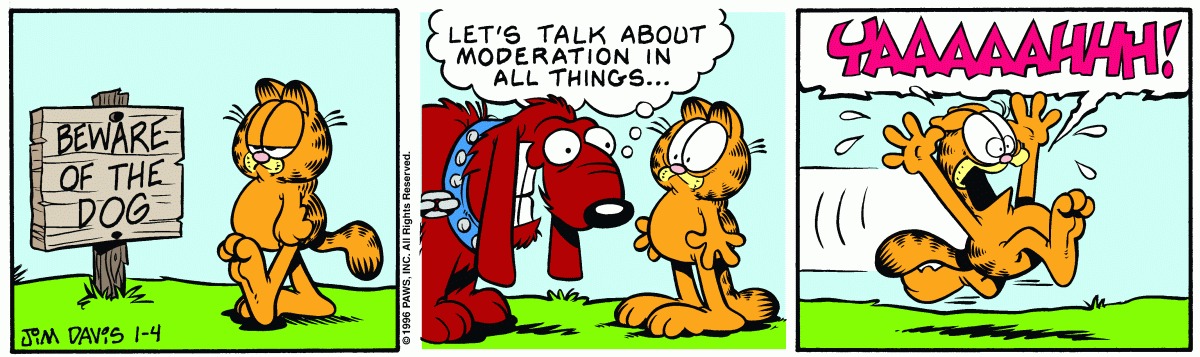 Garfield, January 4, 1996