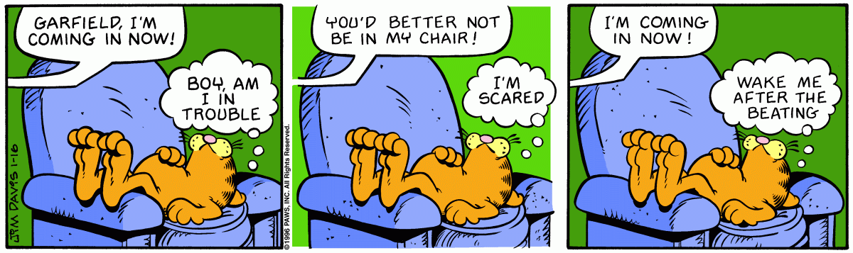 Garfield, January 16, 1996