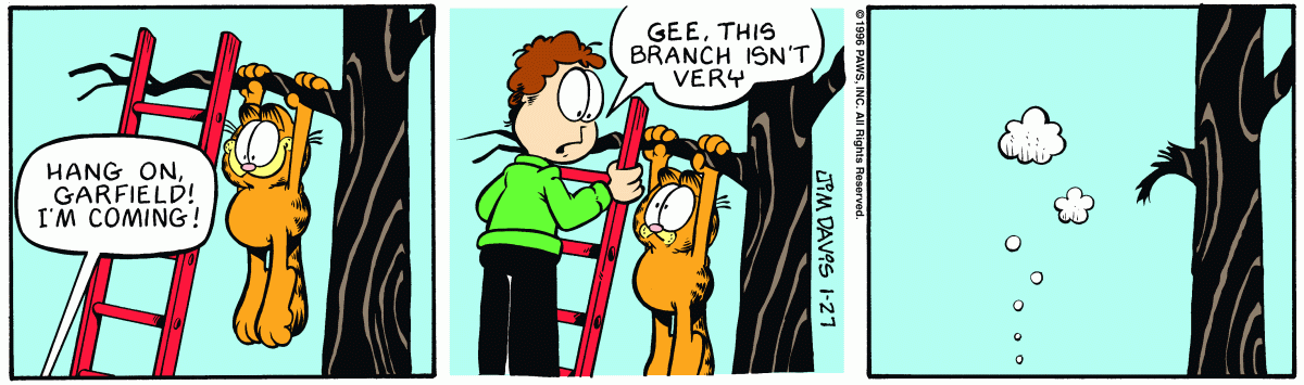 Garfield, January 27, 1996