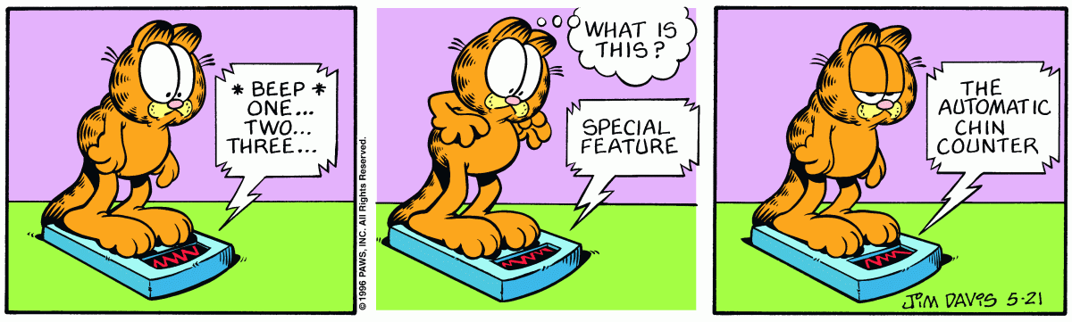 Garfield, May 21, 1996