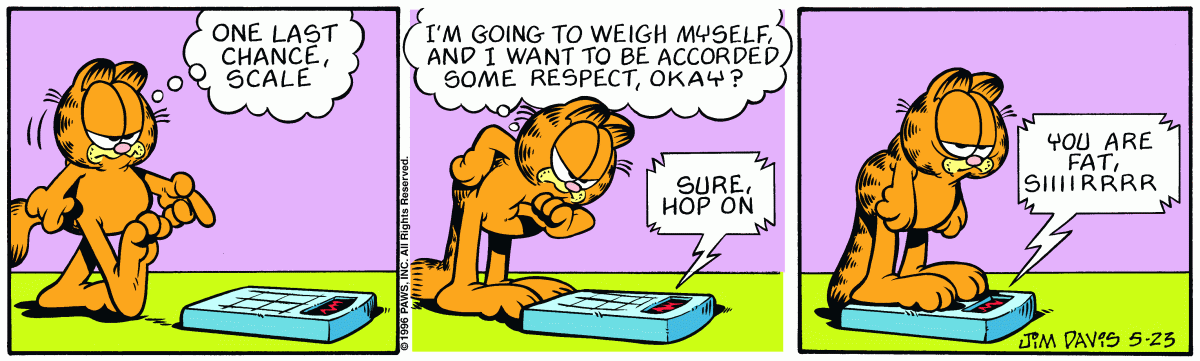 Garfield, May 23, 1996