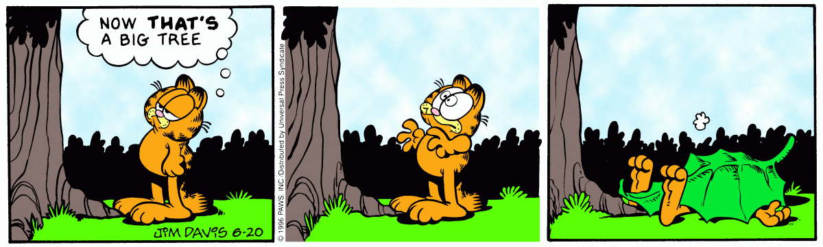 Garfield, June 20, 1996