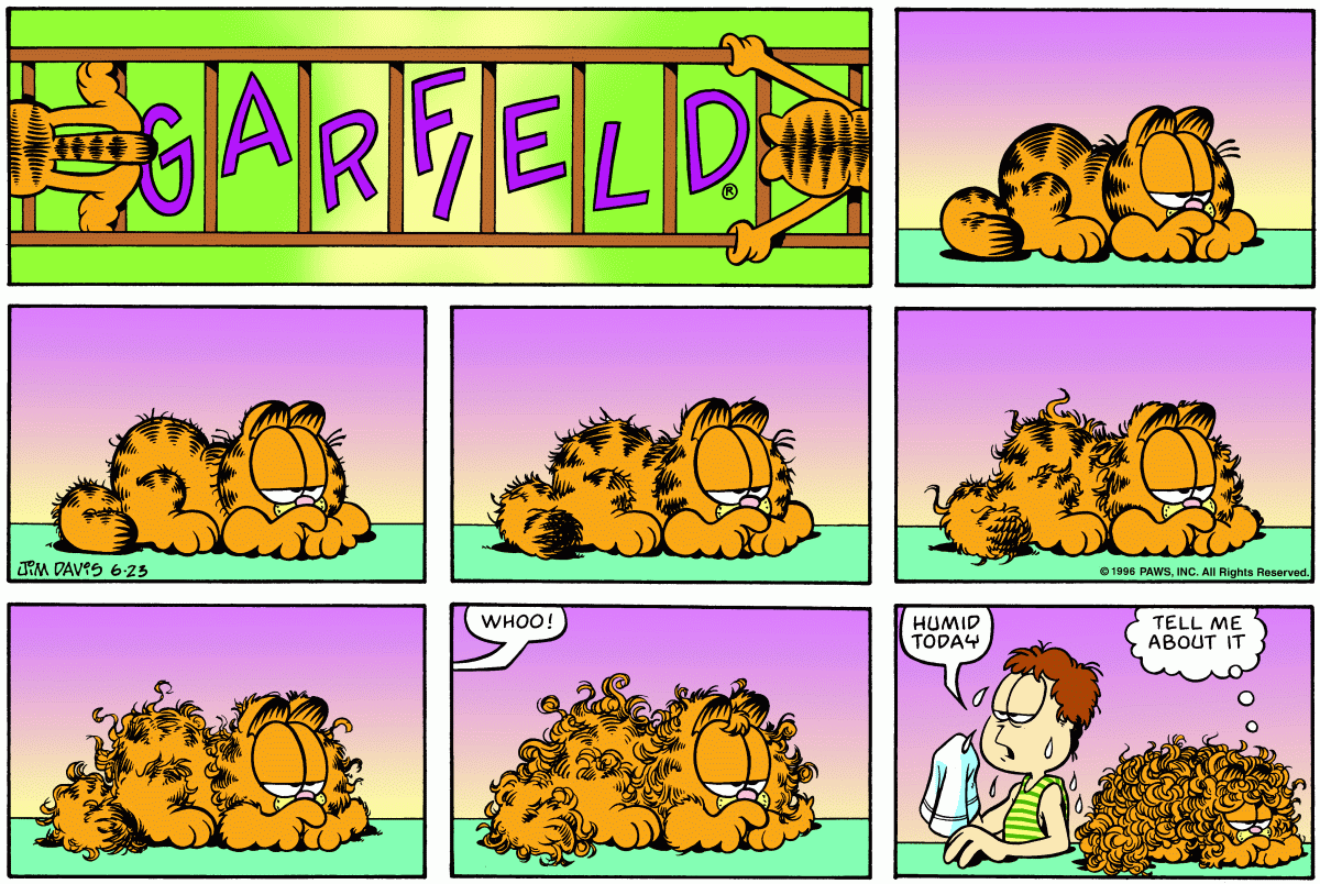 Garfield, June 23, 1996