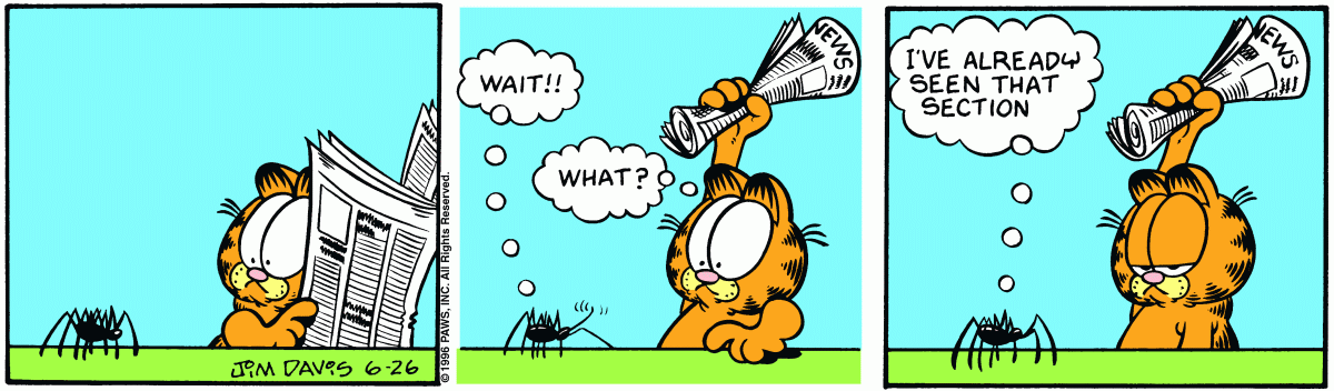 Garfield, June 26, 1996