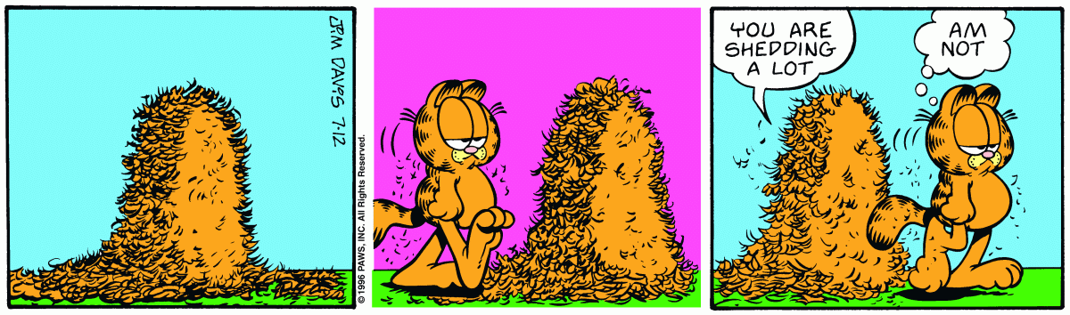 Garfield, July 12, 1996
