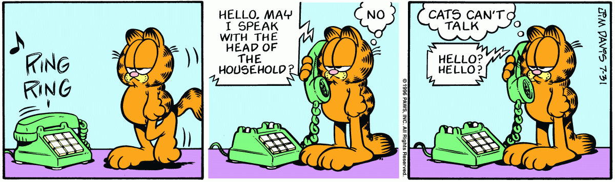 Garfield, July 31, 1996