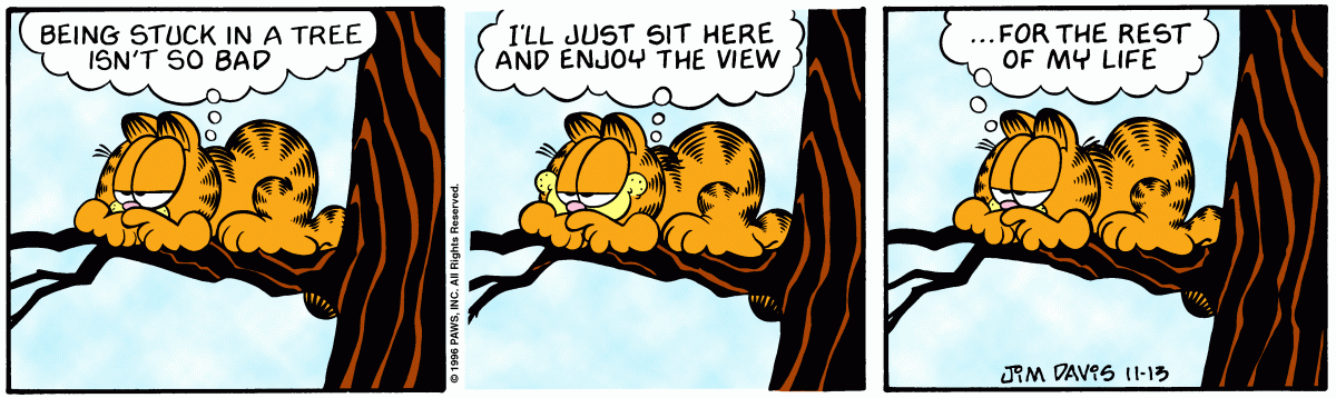 Garfield, November 13, 1996