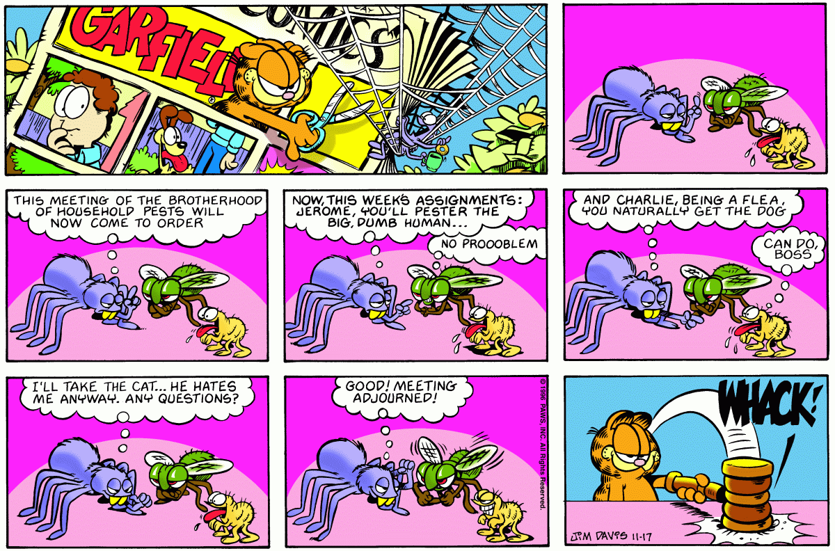 Garfield comic strip for Sunday, November 17, 1996