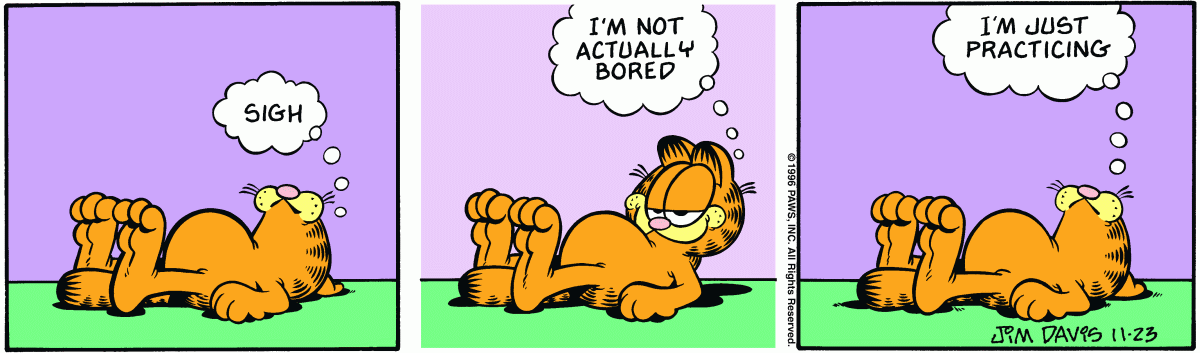 Garfield, November 23, 1996