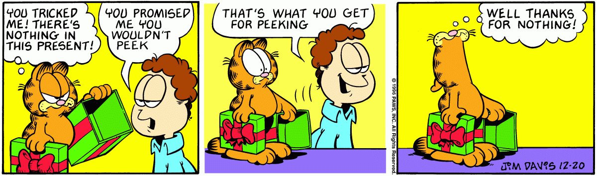 Garfield comic strip for Friday, December 20, 1996