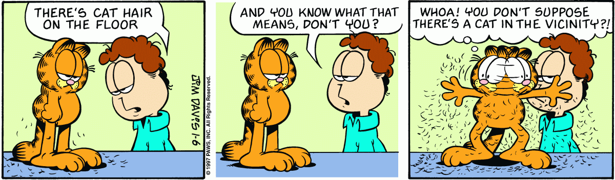 Garfield, January 6, 1997