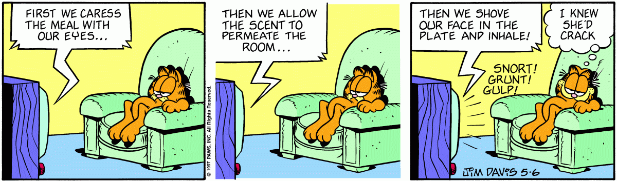 Garfield, May 6, 1997