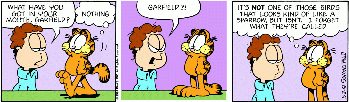 Garfield, May 24, 1997
