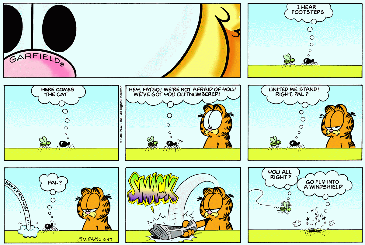 Garfield comic strip for Sunday, May 17, 1998