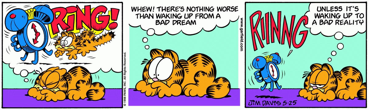 Garfield comic strip for Monday, May 25, 1998