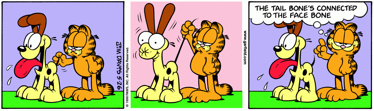Garfield comic strip for Tuesday, May 26, 1998