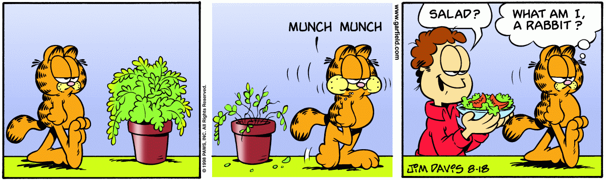 Garfield, August 18, 1998