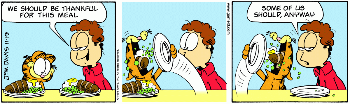 Garfield comic strip for Thursday, November 19, 1998