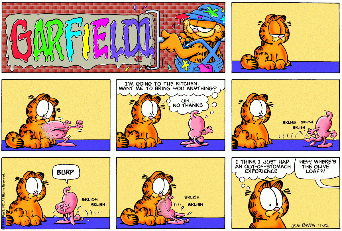 Garfield, November 22, 1998